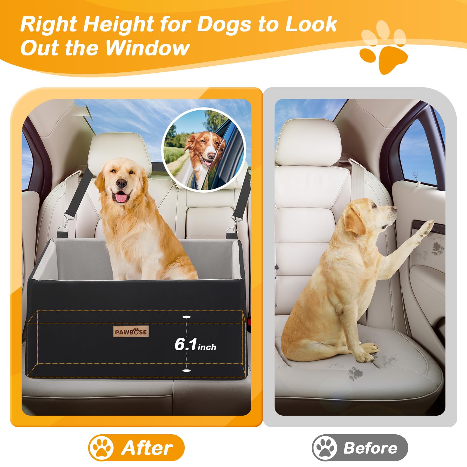 Traveling With Large Dogs: Essential Tips for Stress-Free Adventures