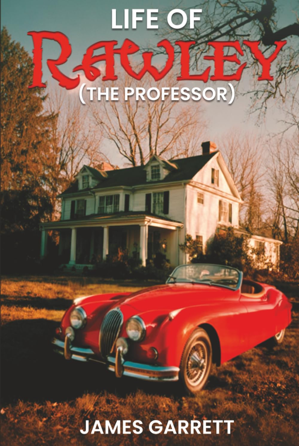 Life of Rawley: (THE PROFESSOR)      Hardcover – March 4, 2026