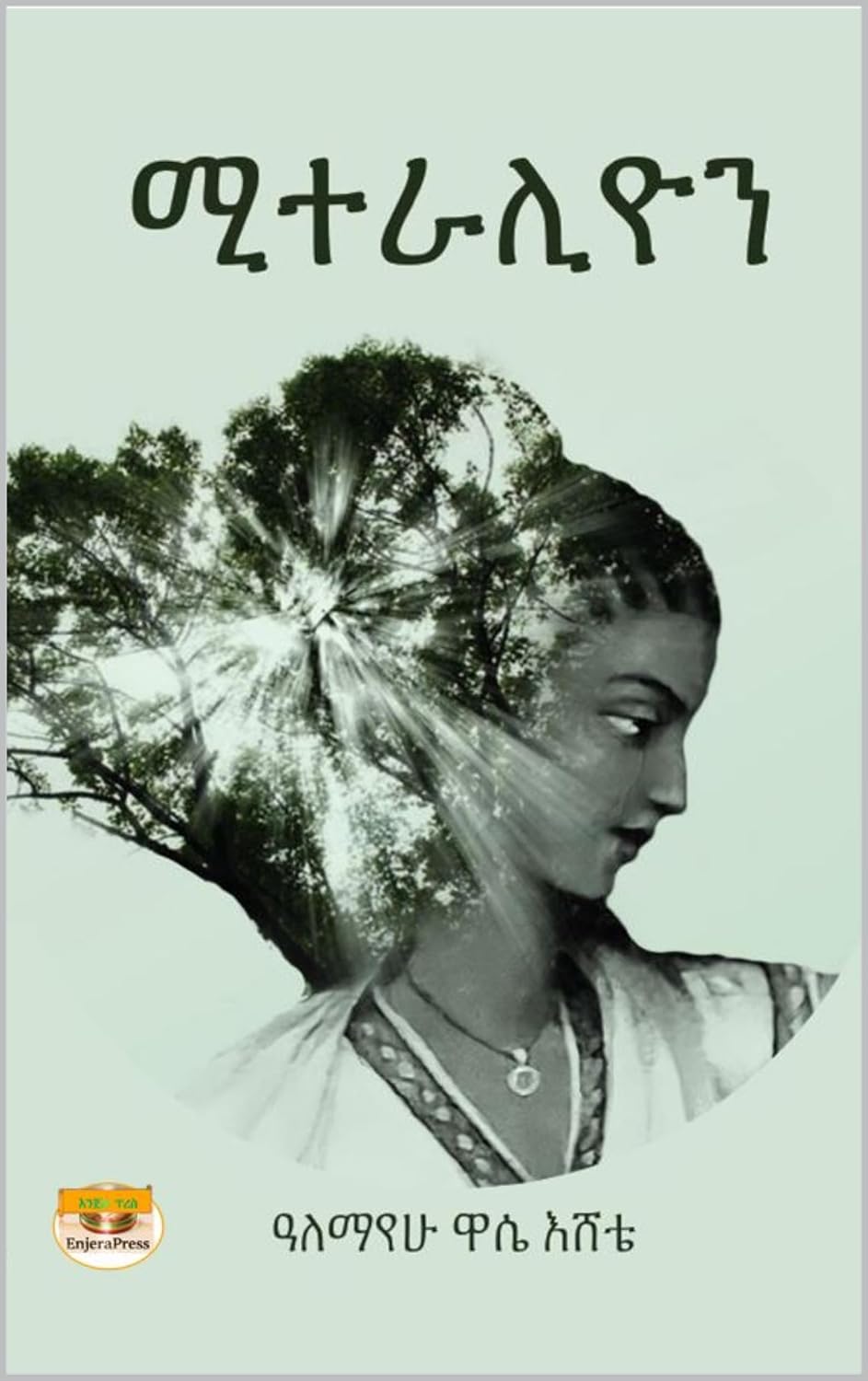 ሚተራሊዮን: Miteralion (Afrikaans Edition)