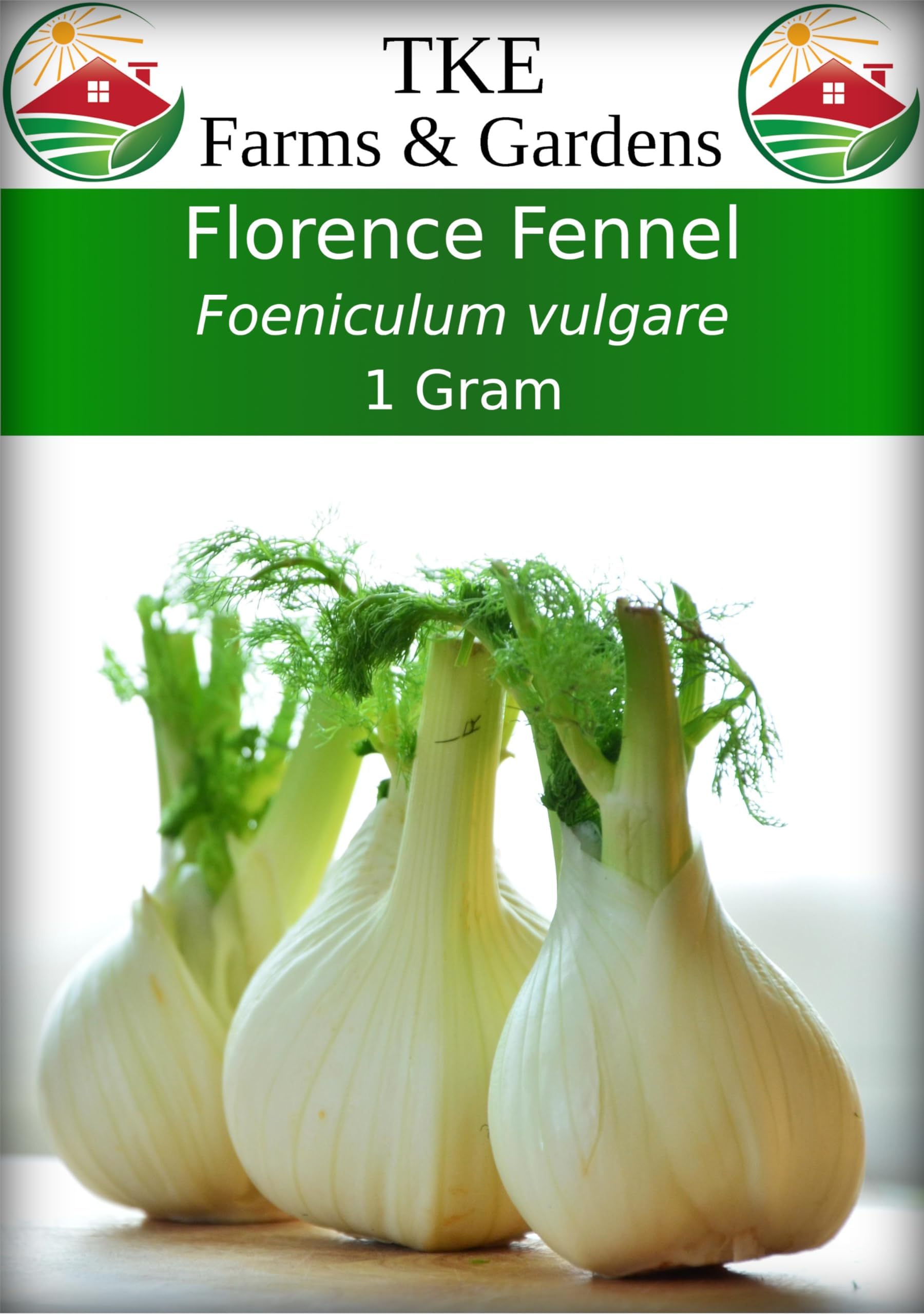 TKE Farms & Gardens Florence Fennel Seeds for Planting, 1