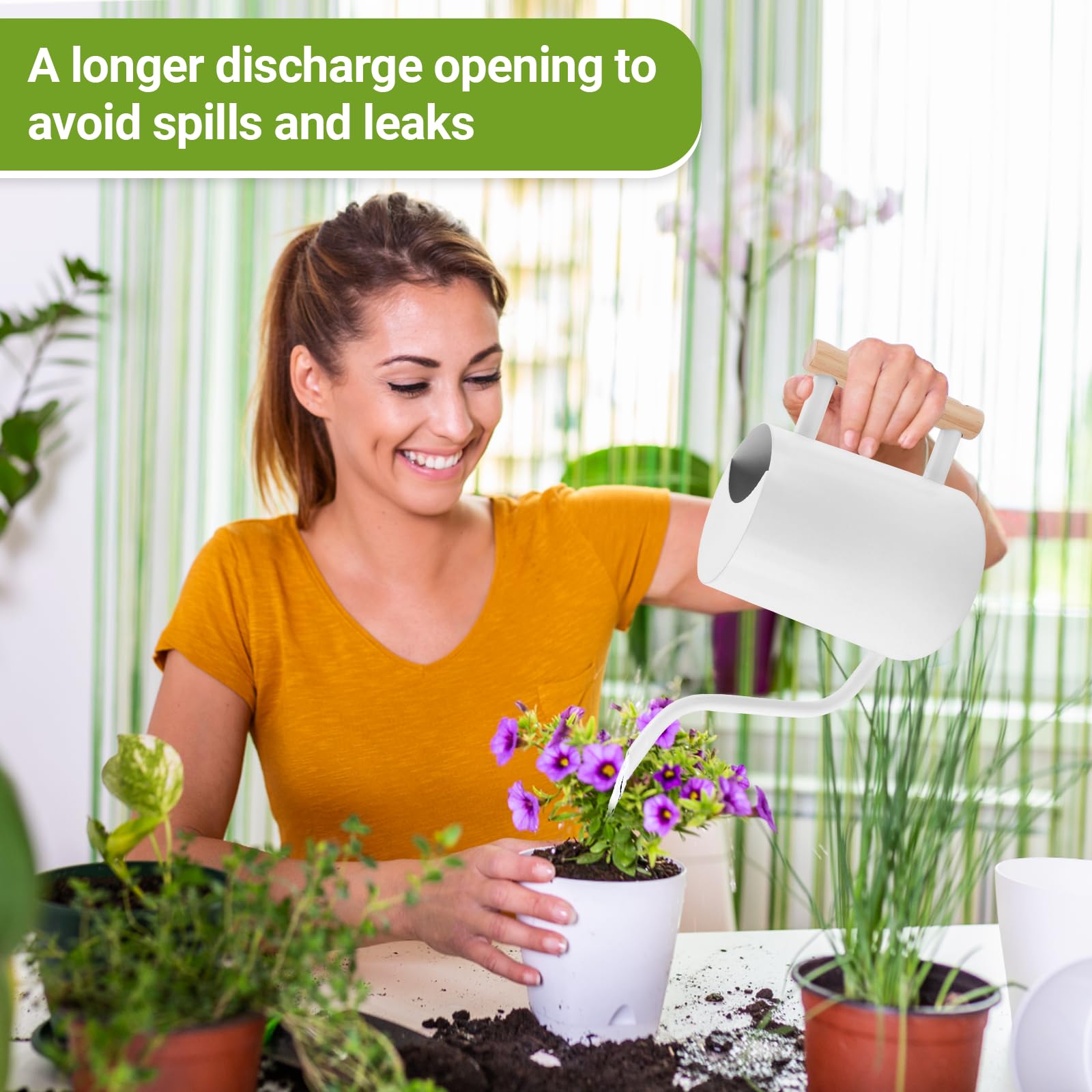 Arrosoir en Acier Inoxydable 1L,Petit Arrosoir pour Plantes D'intérieur avec Outils de Jardinage en Pot,Long Bec,Arrosoir Plante Interieur pour Plantes D'intérieur et Plantes Succulentes
