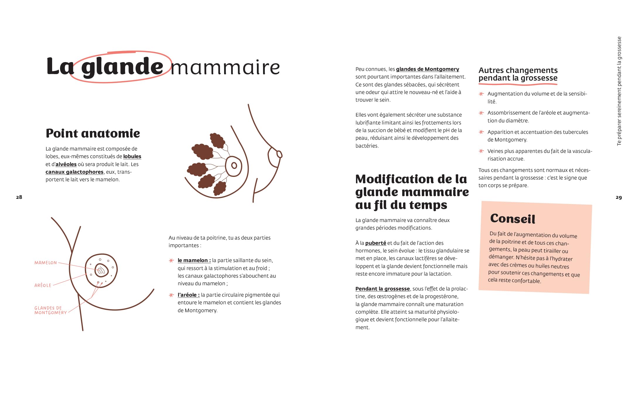 Le grand guide de l'allaitement: Libre, éclairé et pleinement épanoui