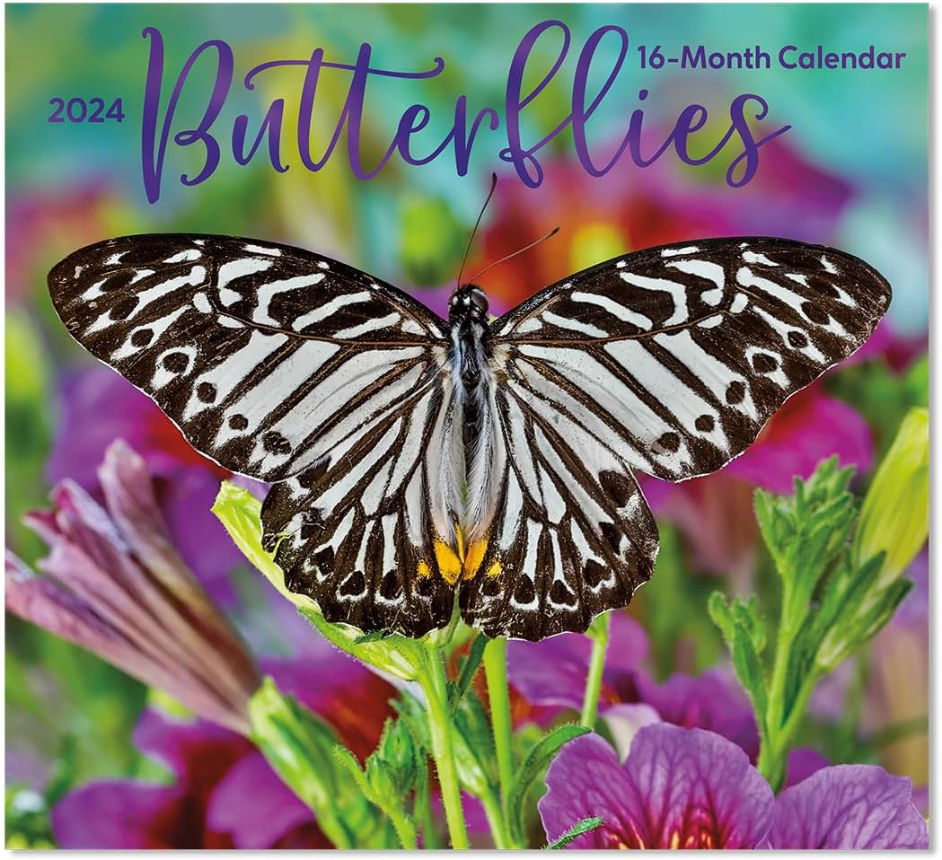 Butterflies 2024 Full Size Wall Calendar for Planning