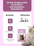Ver la foto 7