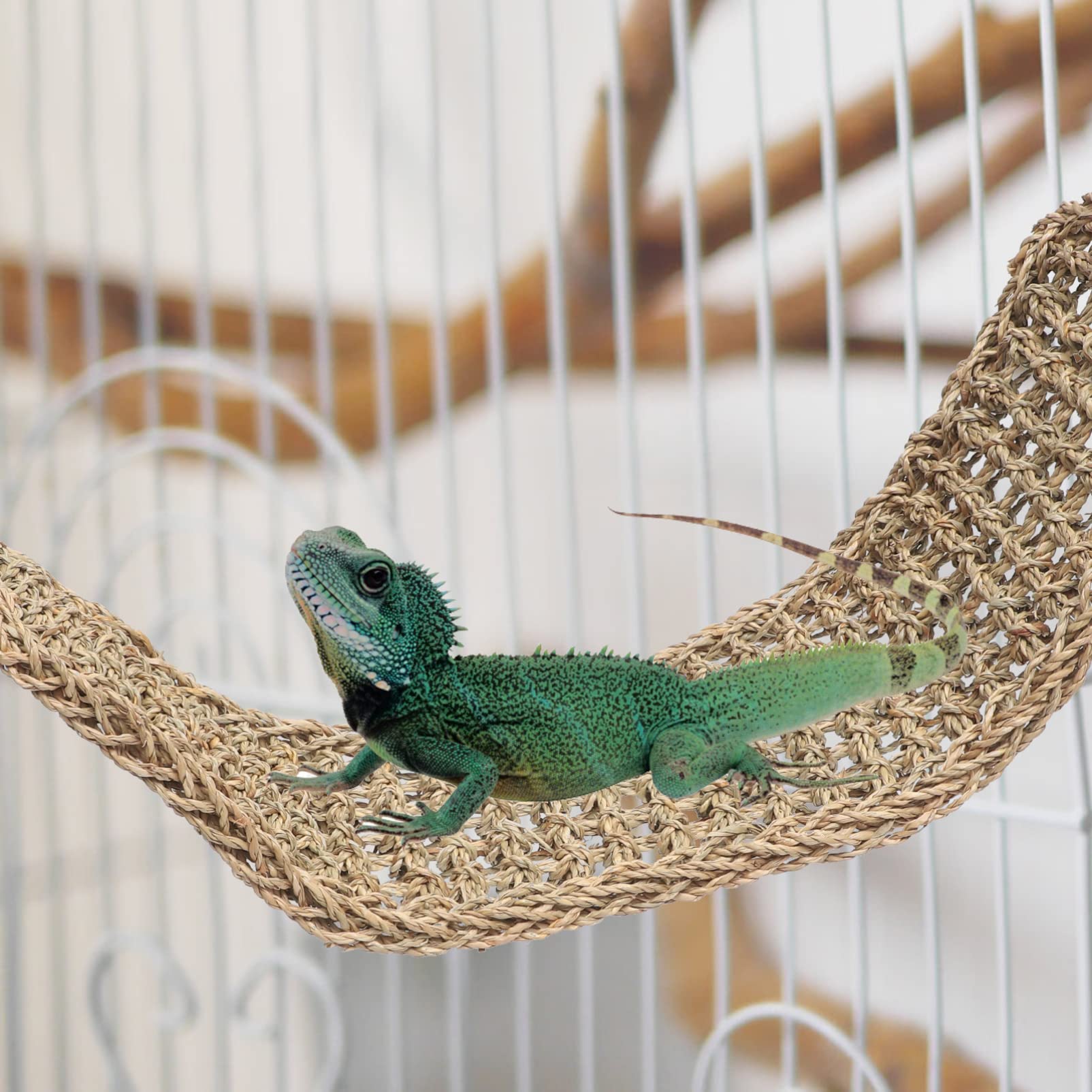 ERINGOGO Bird Hammock Swing for Parakeet Durable Climbing with Chic Design Fun Hanging Accessory for Cockatiel Provides Comfortable Resting Place