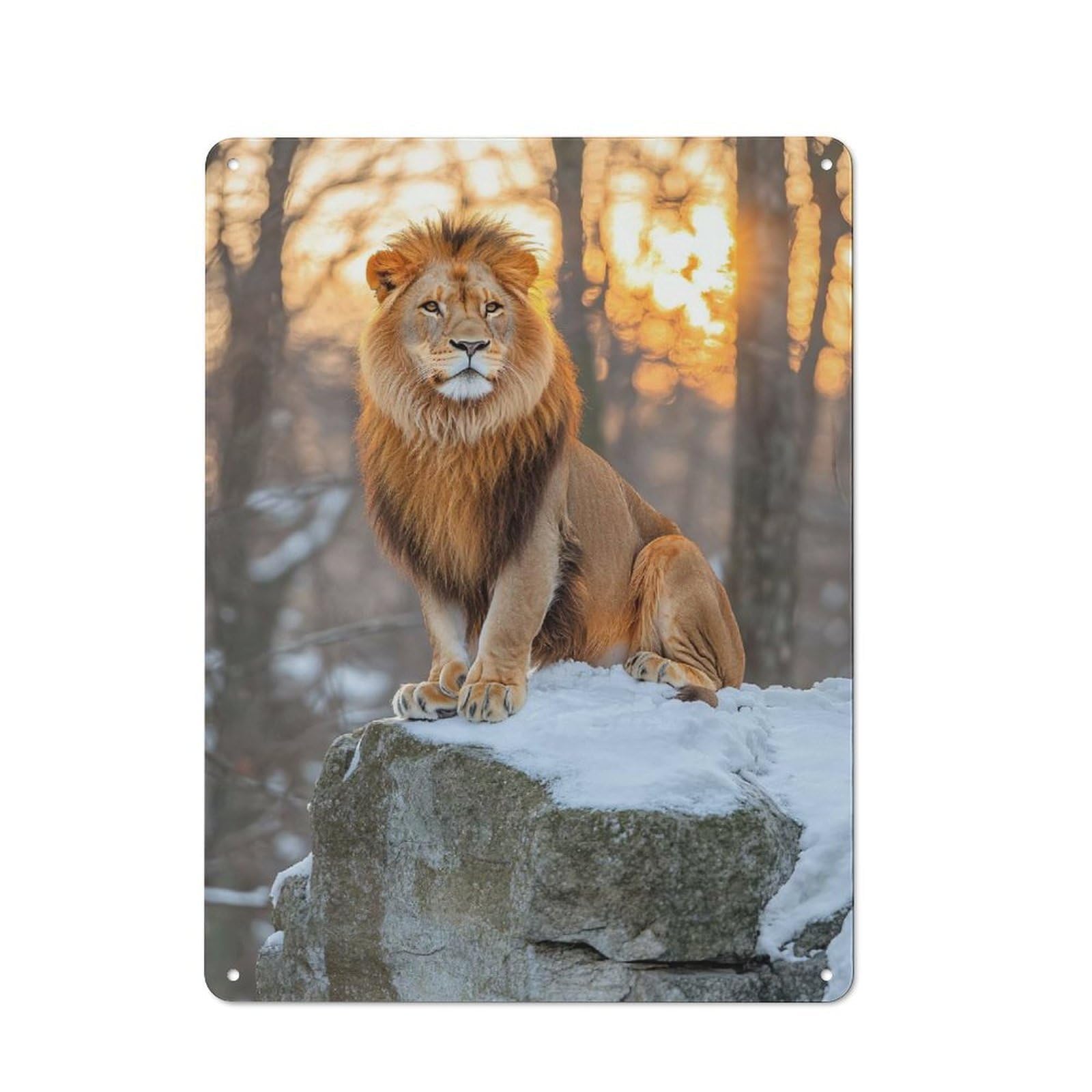 Junmoney Style-10 Tin Wall Plaque 40X30cm With Majestic Lion On Snowy Rock For Hallway Wall, Suited To Hallway Decor Lovers, For Retro Home Interiors