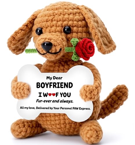 Funny Dog Fathers Day Boyfriend Bf Gifts, Anniversary Birthday Gifts
