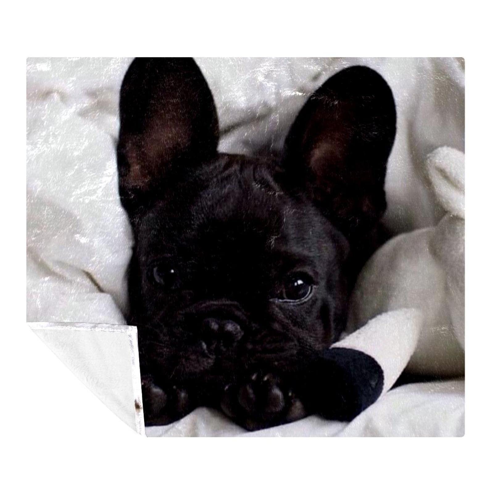 Couverture en peluche couvertures chaudes et douces microfibre chien noir
