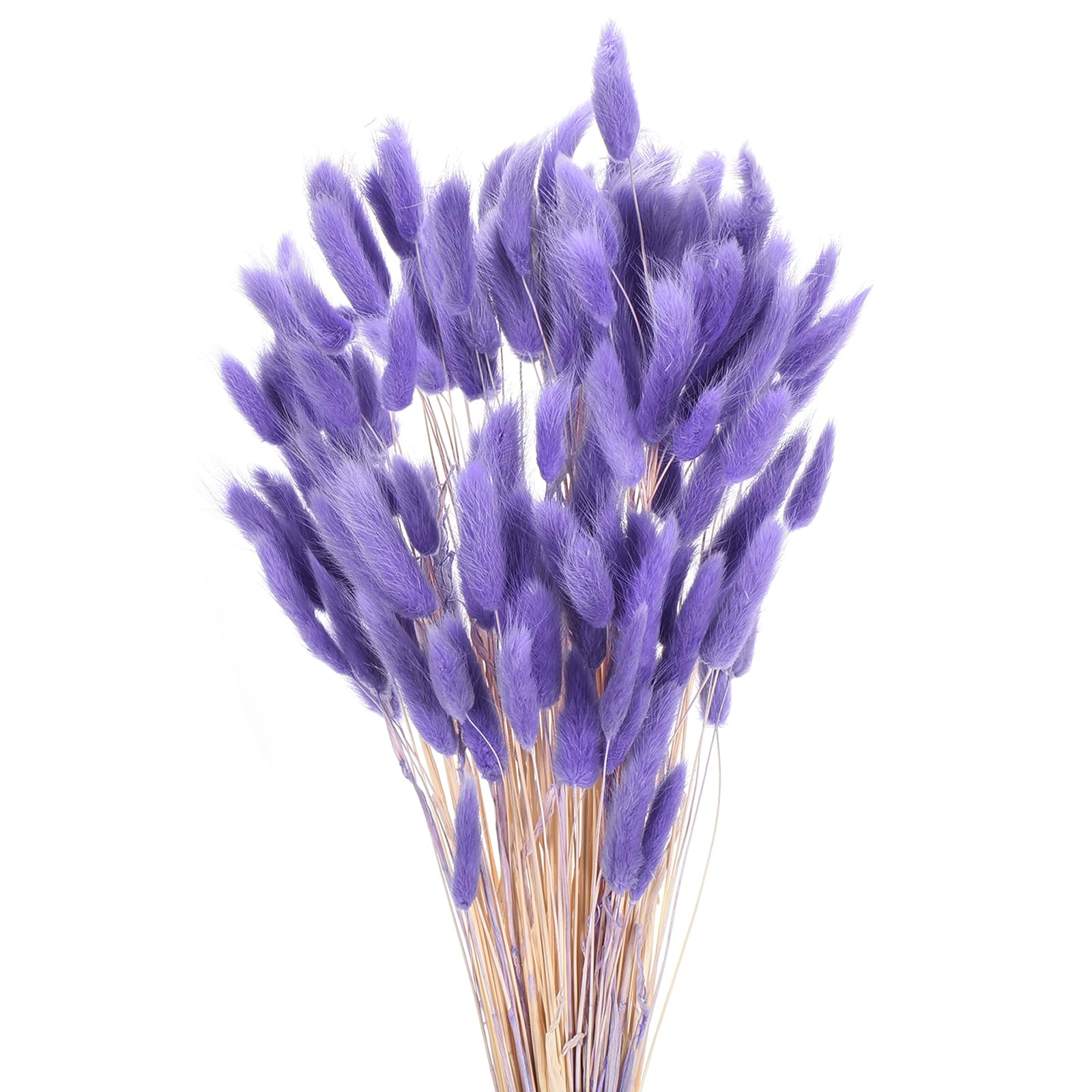 Bouquet de pampa naturelle violet foncé sans entretien pour la maison