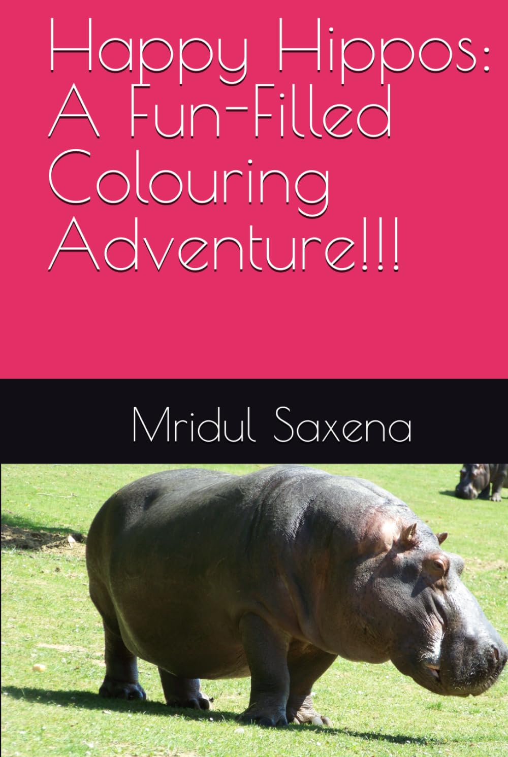 Happy Hippos: A Fun-Filled Colouring Adventure!!! (Colouring books for children)
