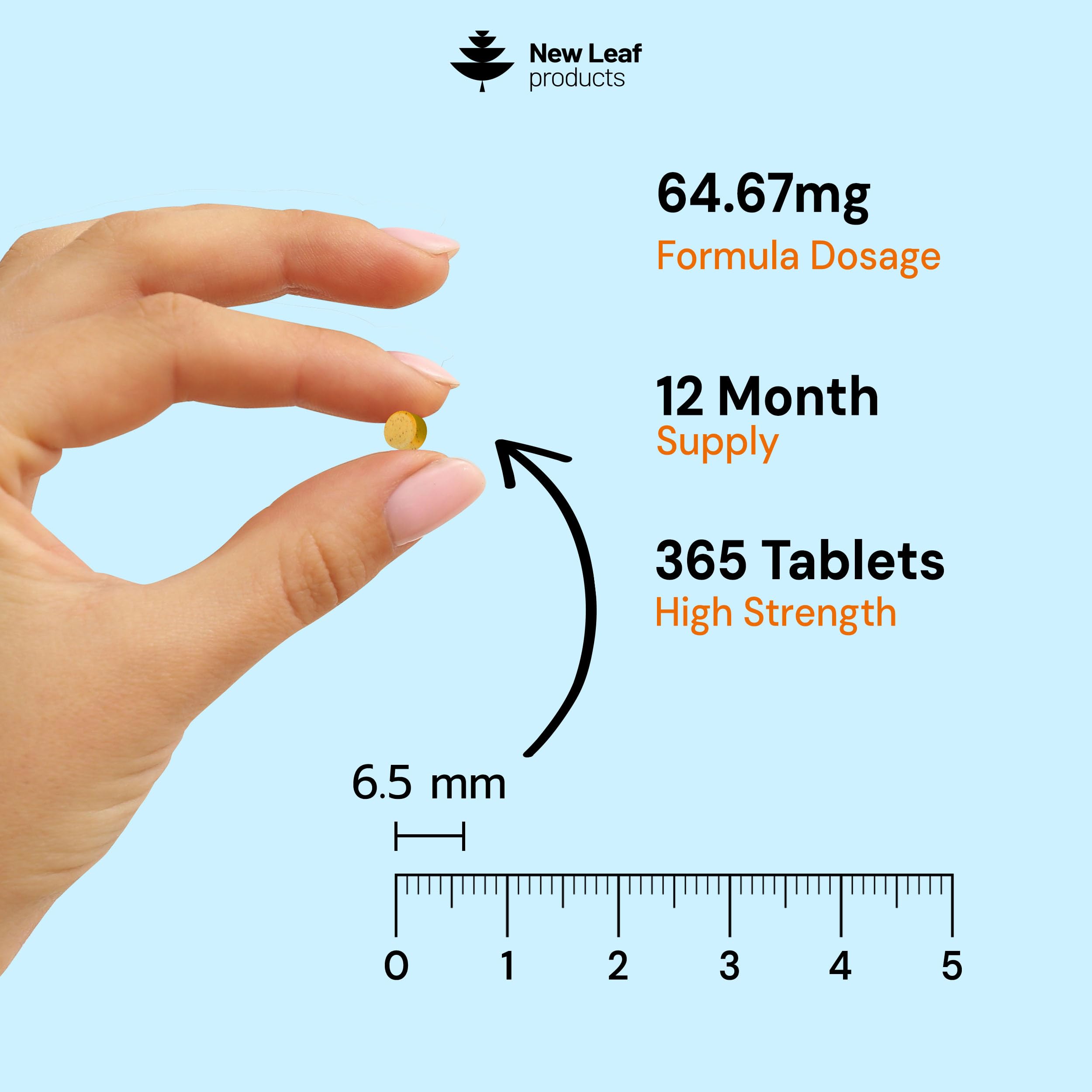 Vitamin B Complex - 365 Small Tablets - All 8 B Vitamins B1-B2-B3-B5-B6-B12, (1 Year Supply)High Strength Biotin, Folic Acid and Vitamin C - Reduction of Tiredness, Energy & Immune Support - UK Made — Amazon image 3