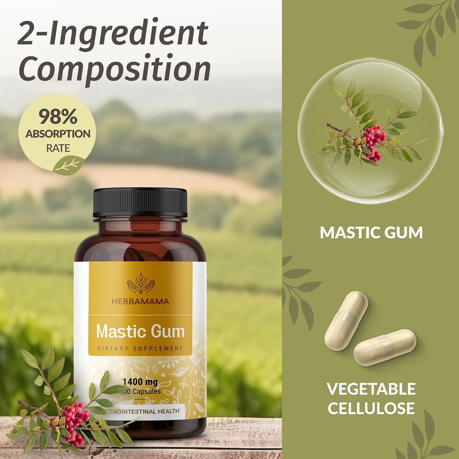 HERBAMAMA Mastic Gum Capsules 1400mg - Gut & Digestive Support with Mastic Gum Supplement - Vegan, Non-GMO Resin Digestion Capsules
