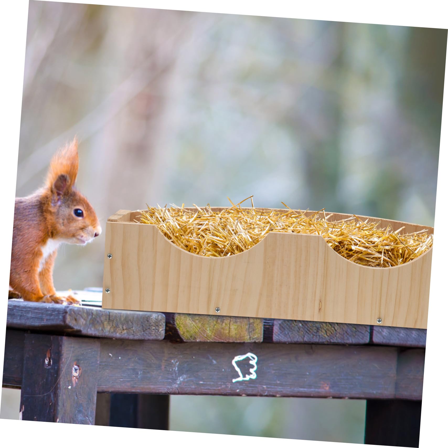 Hasengestell mit Aufbewahrungsnut und Holzfutter Großer Futternapf zum Aufhängen mit Fixator für Kaninchen und Hamster Einfach zu Verwenden