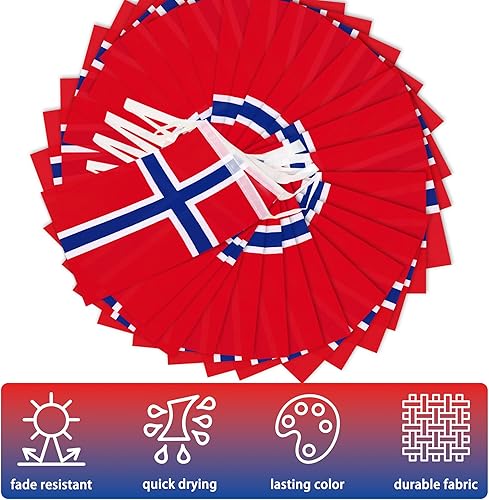 Miniatura 4 de Banderín de bandera de Noruega, mini banderas noruegas Nordmann banderines, decoración nacional de país para escuela, fiesta, eventos deportivos,