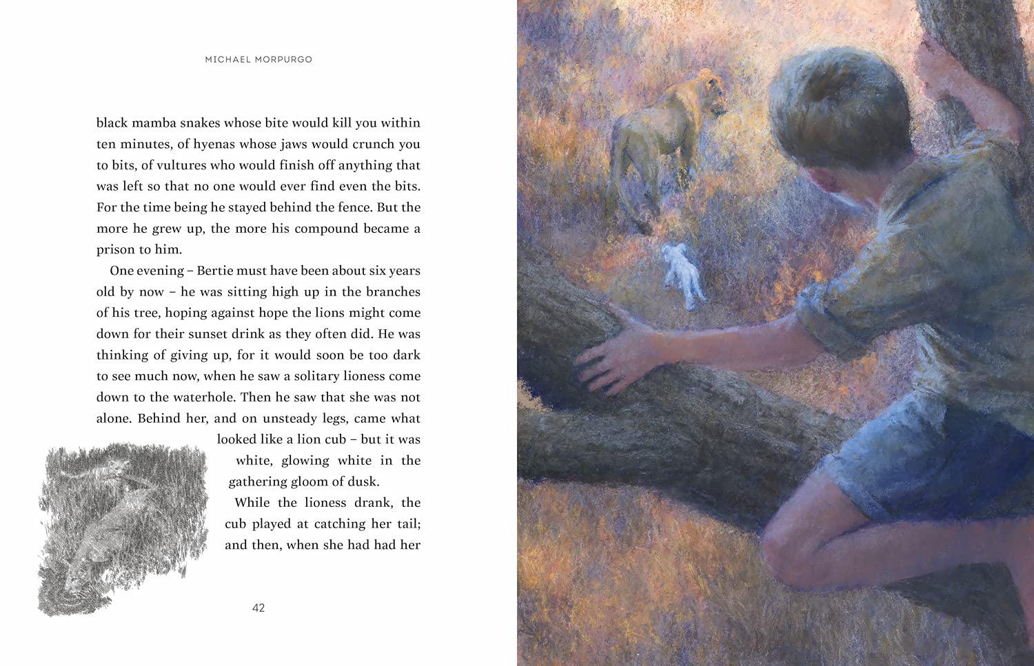 The Butterfly Lion: The classic story of an unforgettable friendship