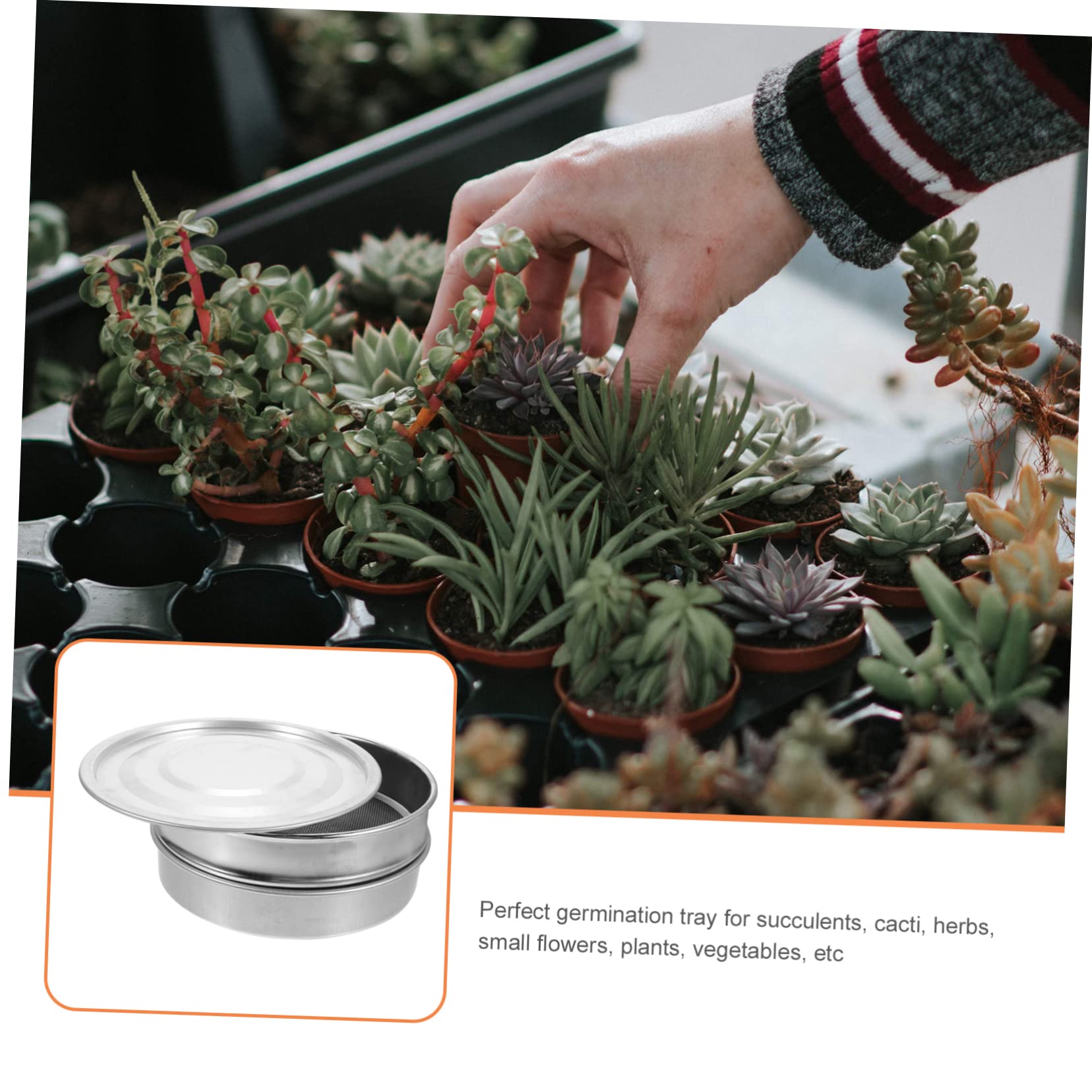 Anzuchtschale aus Edelstahl 20cm Satz mit Deckel für Indoor Pflanzen und Gemüse Anzucht Starter Pflanzzubehör für Blumen und Früchte