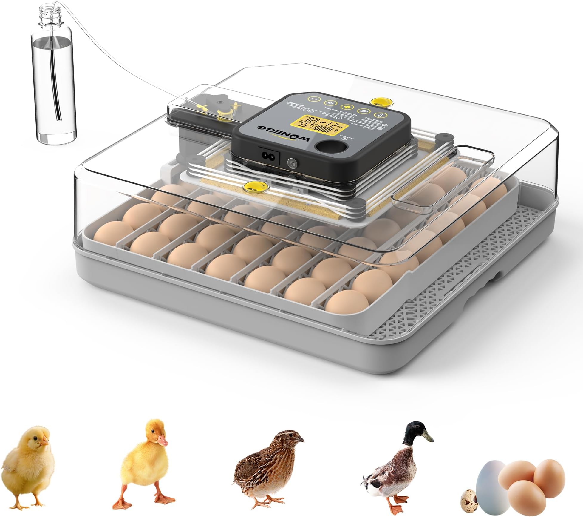 48 Egg Incubator, Automatic Egg Turning, Humidity Control & Water Serving – 360° Clear View Poultry Hatcher with Temperature Display for Hatching Chicken, Duck, Quail & Parrot Eggs