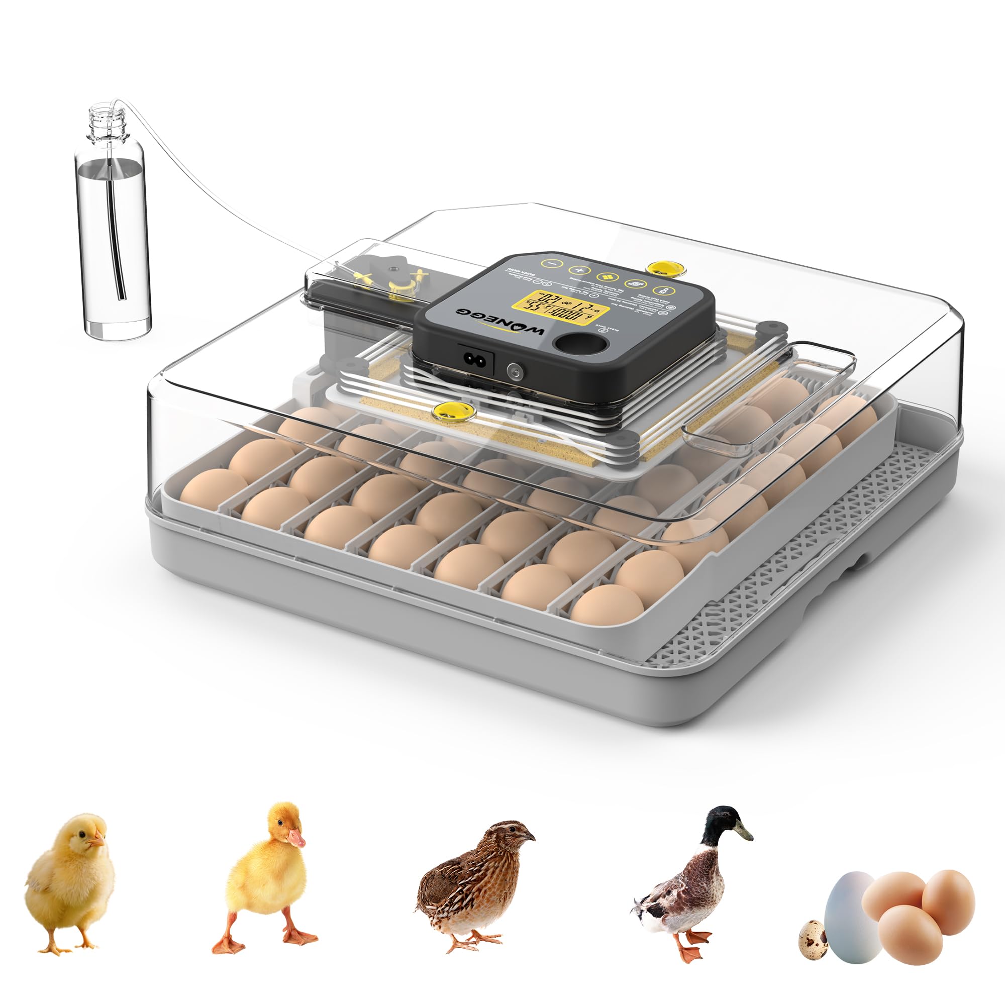 48 Egg Incubator, Automatic Egg Turning, Humidity Control & Water Serving – 360° Clear View Poultry Hatcher with Temperature Display for Hatching Chicken, Duck, Quail & Parrot Eggs