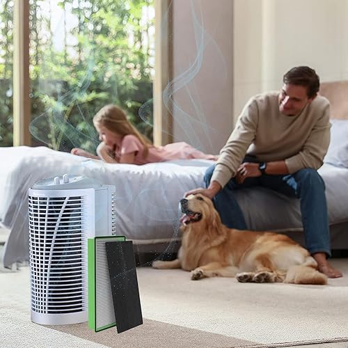 Miniatura 7 de Aller-Gen - Filtro de repuesto Aer1 para purificadores de aire Holmes, 2 filtros HEPA verdaderos + 4 filtros de refuerzo de carbono, HAPF300AP-U4