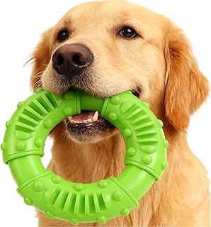 AHEJIOO Hundespielzeug Unzerstörbar - Grüner Gummiring aus Naturkautschuk, Langlebiges Kauspielzeug für Starke Kauer, Spielerische Zahnpflege für kleine, mittlere & große Hunde (13cm)