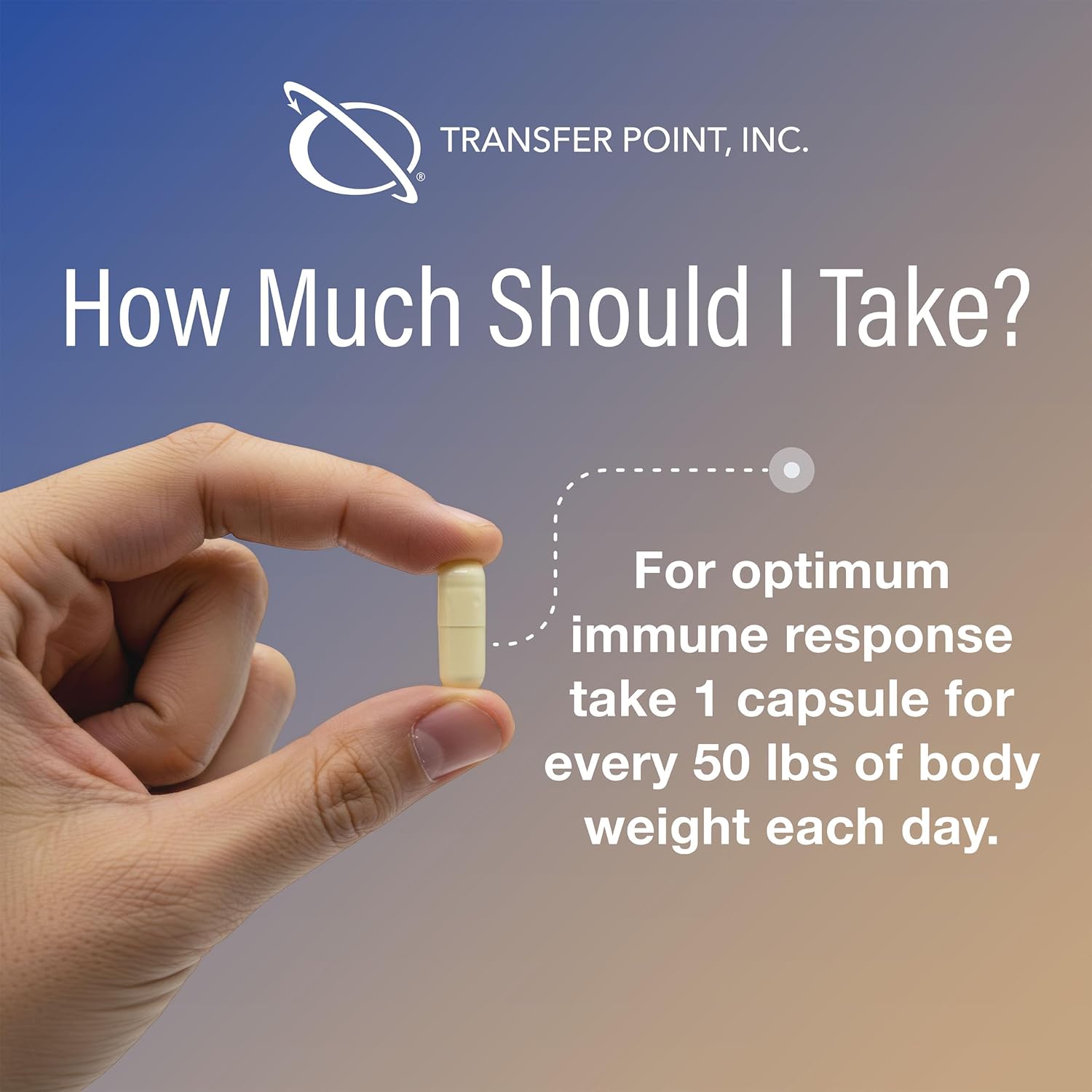 Transfer Point Immune Support Supplement Highly Purified Beta Glucan 500 mg per Capsule (b-glucan Fiber) (Pack of 1) - Image 6