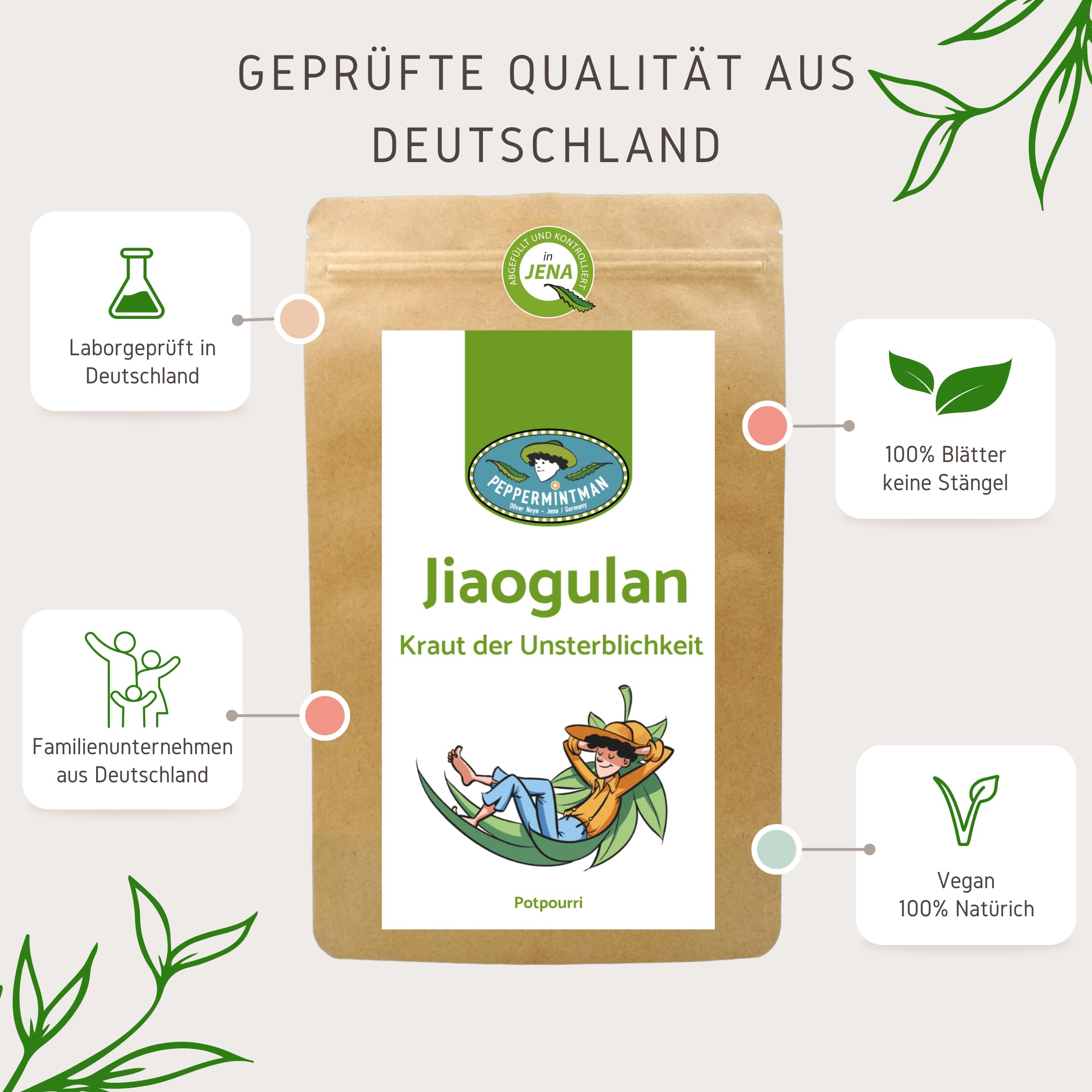 Jiaogulan, boîte de pot-pourri de qualité supérieure de PeppermintMan, 500 g