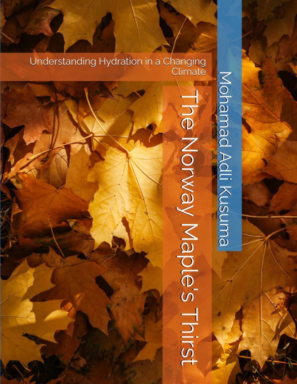 The Norway Maple's Thirst: Understanding Hydration in a Changing Climate