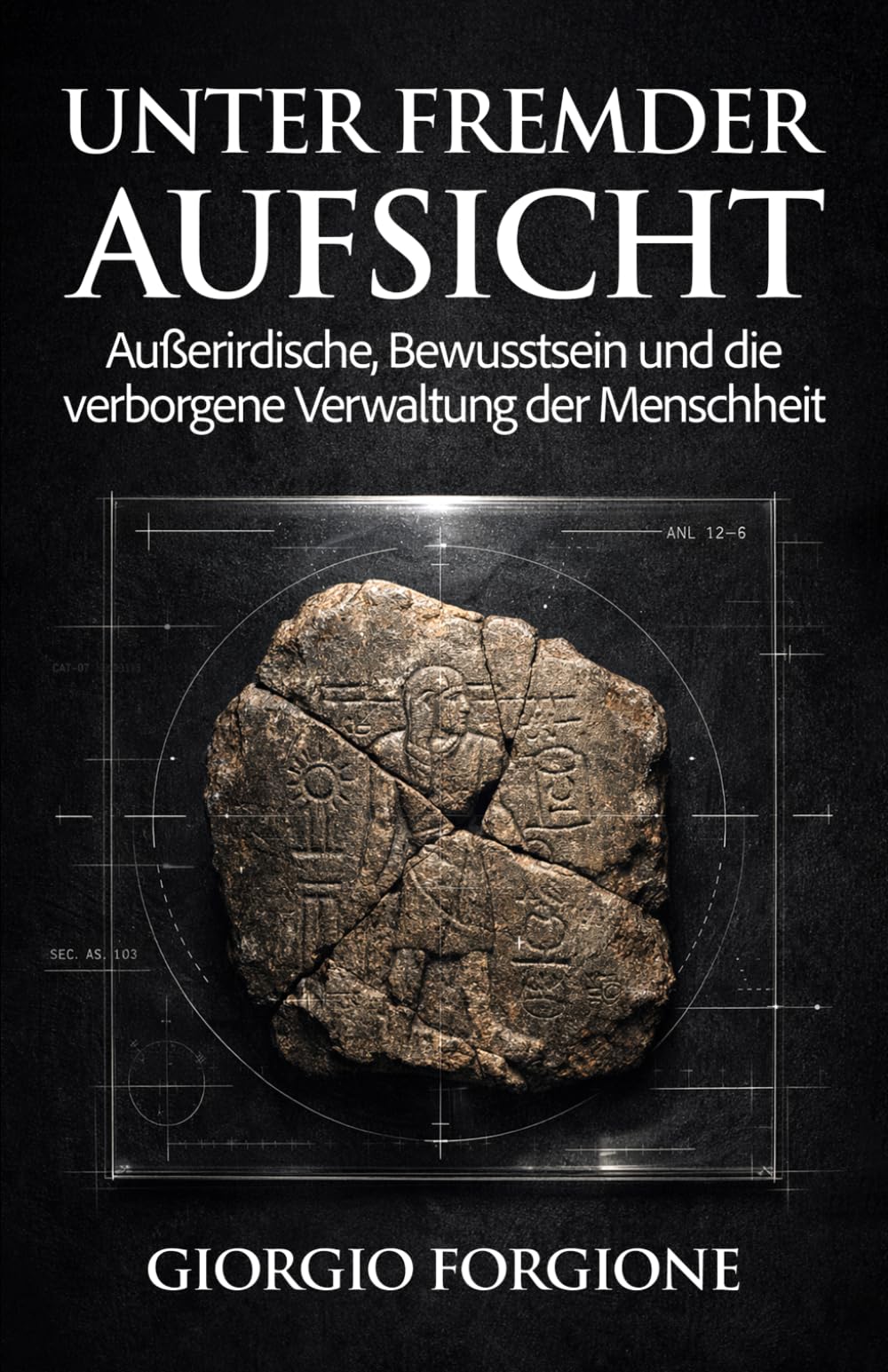 Unter fremder Aufsicht: Außerirdische, Bewusstsein und die verborgene Verwaltung der Menschheit