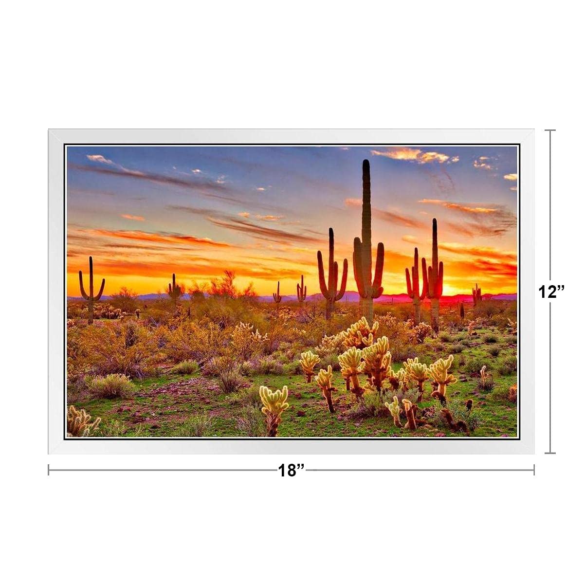 Arizona アリゾナ州サボテン アンティーク絵画油彩アメリカインテリアナバホ Amazon.co.jp: サグアロサボテンとカラフルな砂漠の夕日 アリゾナ州