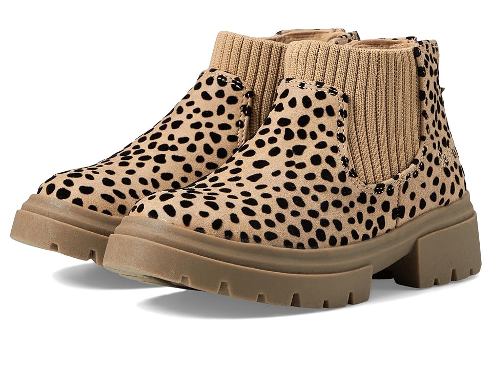 Blowfish Malibu Kids Chassy-T (Toddler/Little Kid) (Sand Pixie Leopard/Tech Knit) Girls Shoes INTERNATIONAL SHIPPING