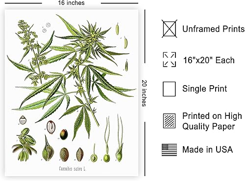 Miniatura 564 de Poster Master Póster vintage de orquídea, estampado de flores retro, arte de pared de plantas exóticas, arte botánico, regalo para hombres y
