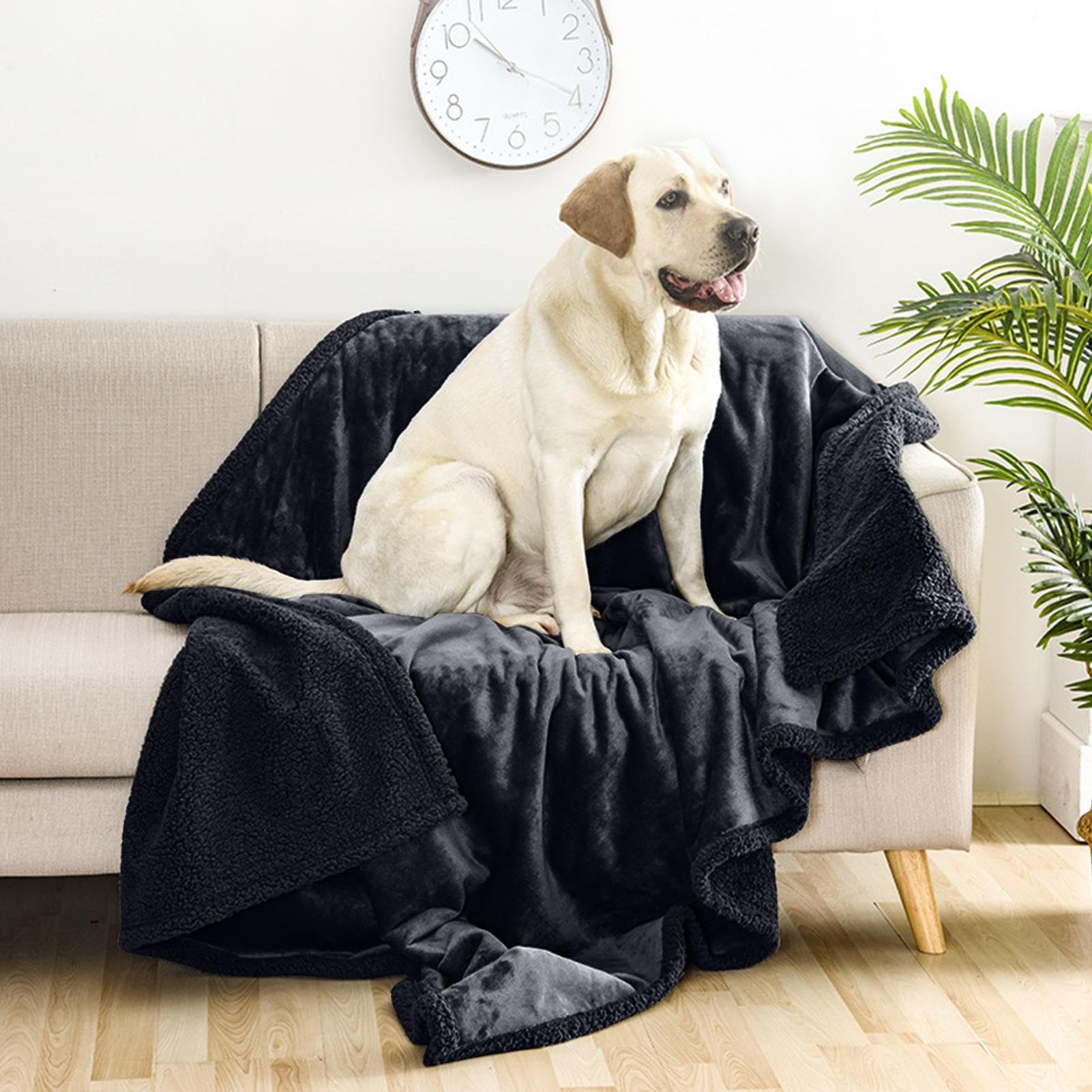 Manta Lavable a máquina para Mascotas, Manta de Franela para | Perros y Gatos, Manta Lavable para Perros, Suministros para Mascotas acogedoras para Gatos de Interior, Todas Las Estaciones,
