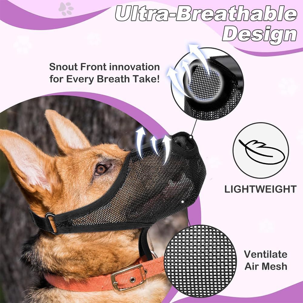 Chiens Américains A-Z | Fiers de Leur Origine USA, image size:1000x1000