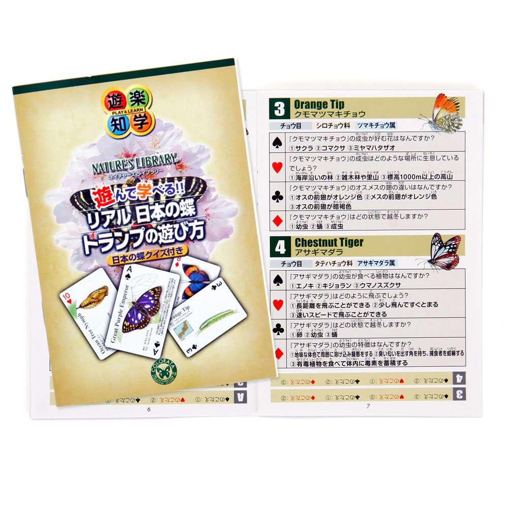 koco様　トランプ　36こ koco様 トランプ 36こ koco様 トランプ 36こ koco様 トランプ 36こ