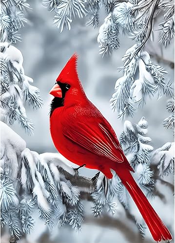 Lxmsja Kits de pintura de diamantes 5D con diseño de pájaro cardenal de nieve para adultos, kit de puntos de arte de diamantes, taladro redondo