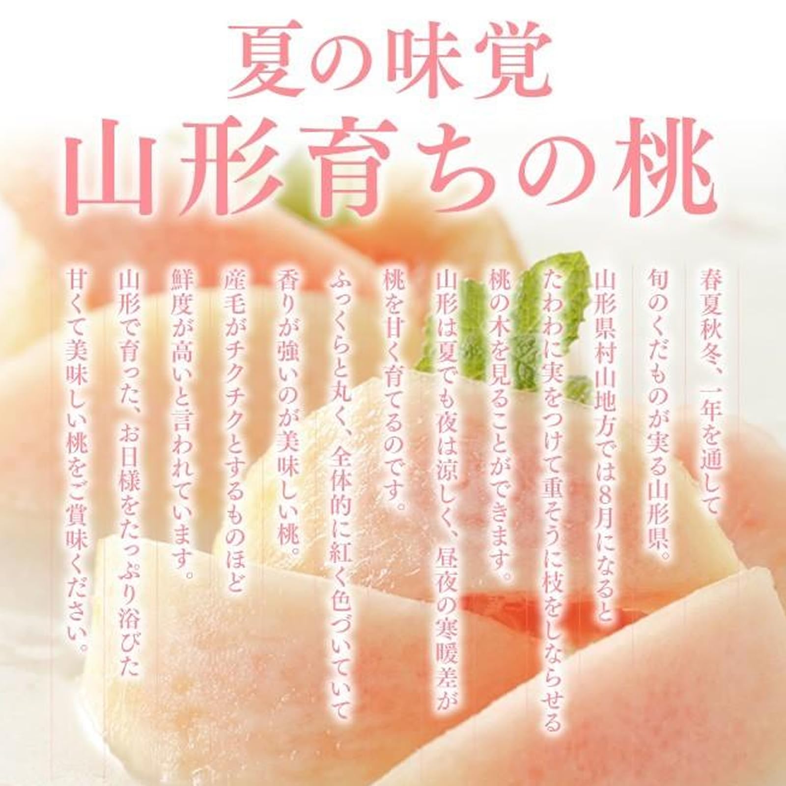 Amazon | ジェイエイてんどうフーズ 贈答用 山形県産 白桃 おどろき 約