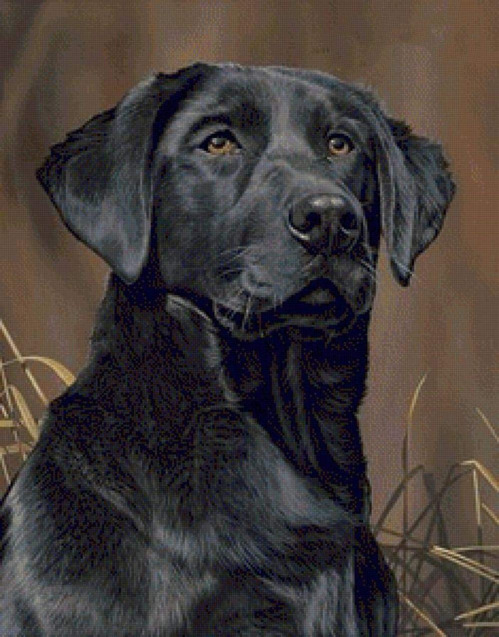 Nprzm H145 Diamond Painting Kits For Adults, Kids Black Labrador Diy 5D Diamond Painting Arts Craft For Home Wall Decor Birthday Gifts 30X40cm