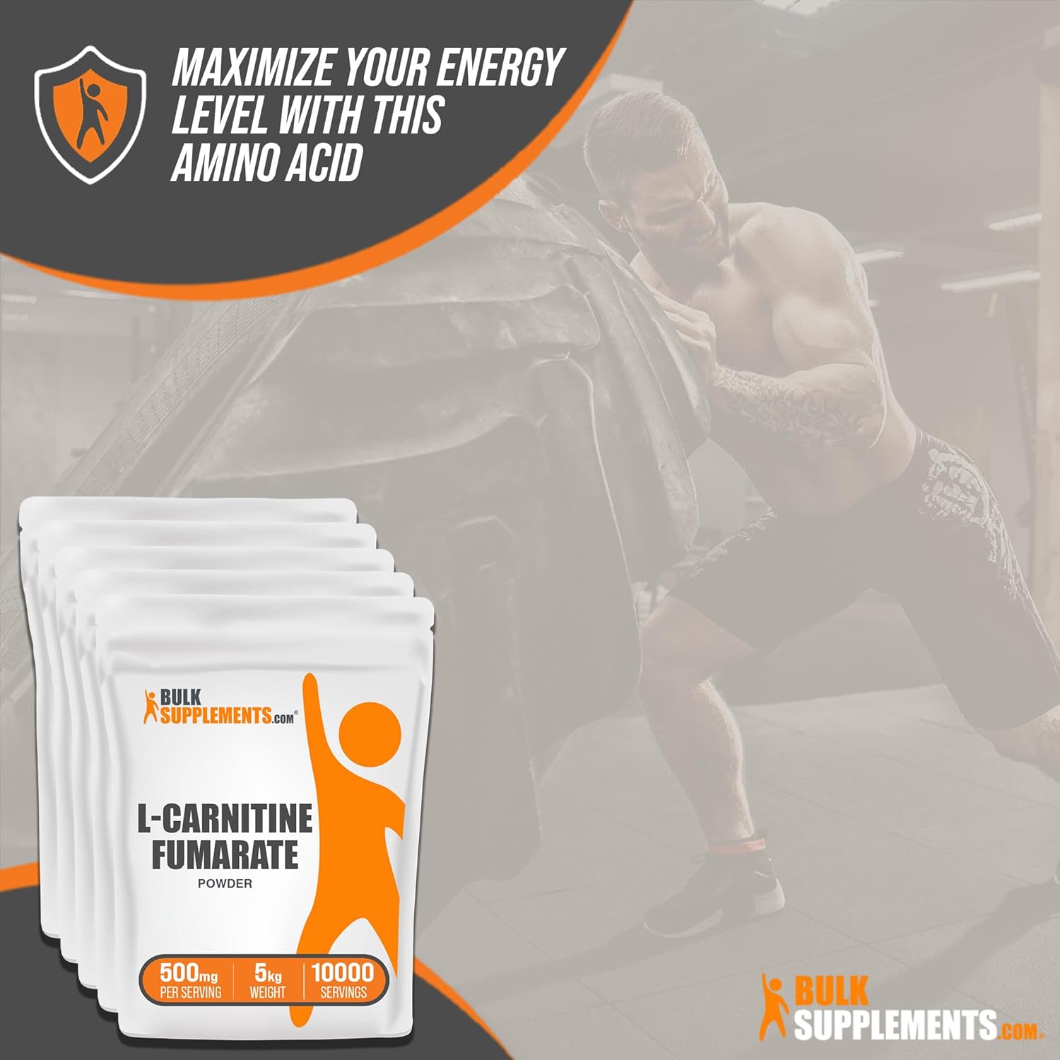 BULKSUPPLEMENTS L-Carnitine Fumarate Powder - Carnitine Supplement, Carnitine Powder, L-Carnitine 500mg - Amino Acids Supplement, 500mg per Serving, Gluten Free, 5kg (11 lbs) : Health & Household