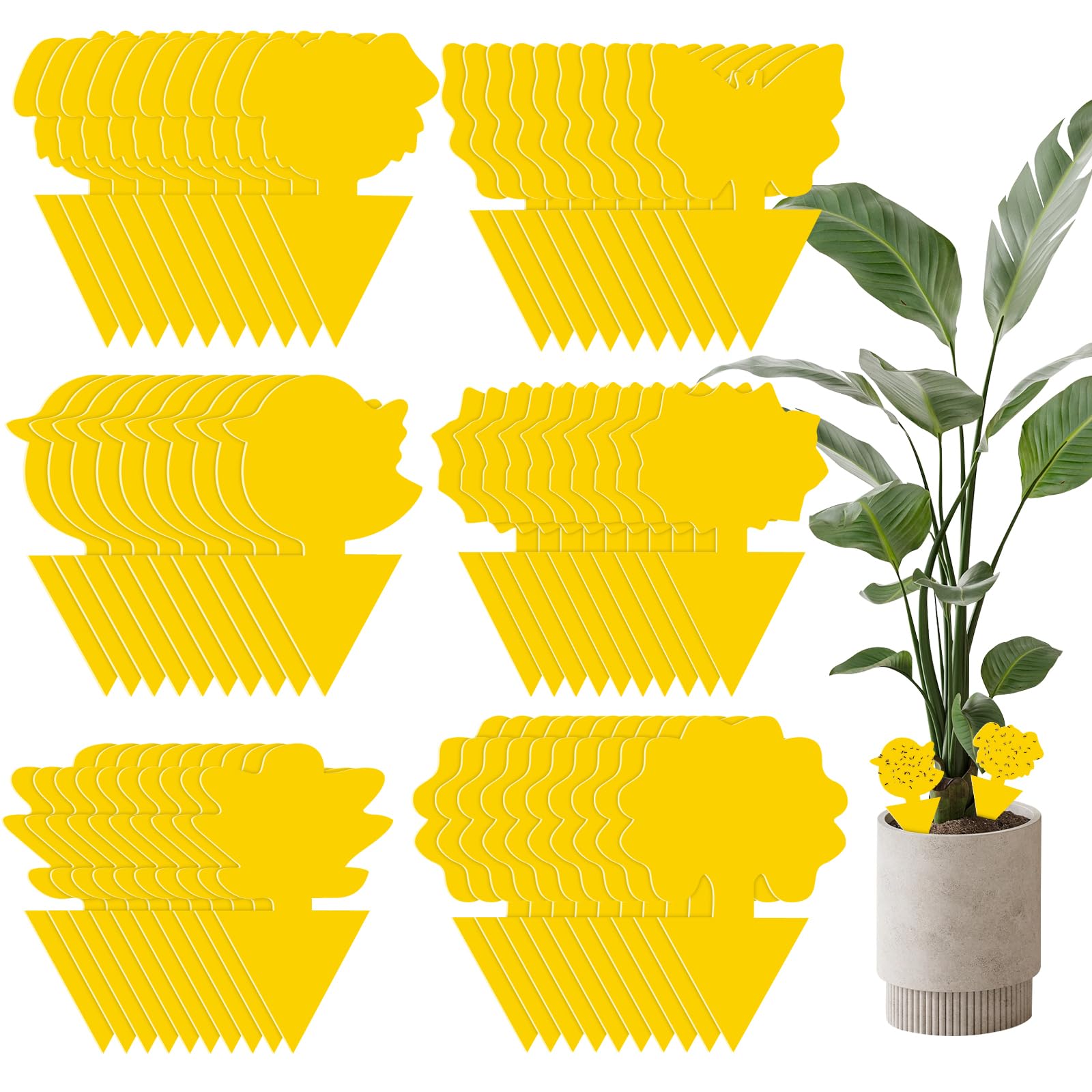 Bighan 60Pcs Fruit Fly Traps, Double-sided Fungus Gnat Sticky Catcher For Multiple Insects, Plant Fly Control Indoor (Yellow)