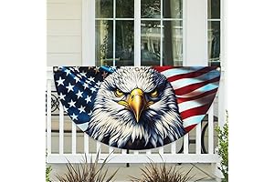 TQN2902FL Patriotic Eagle American Non-Pleated Fan Flag