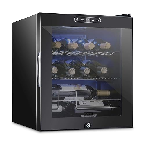 Schmecke 12 Bottle Compressor Wine Cooler Refrigerator w/Lock | Large