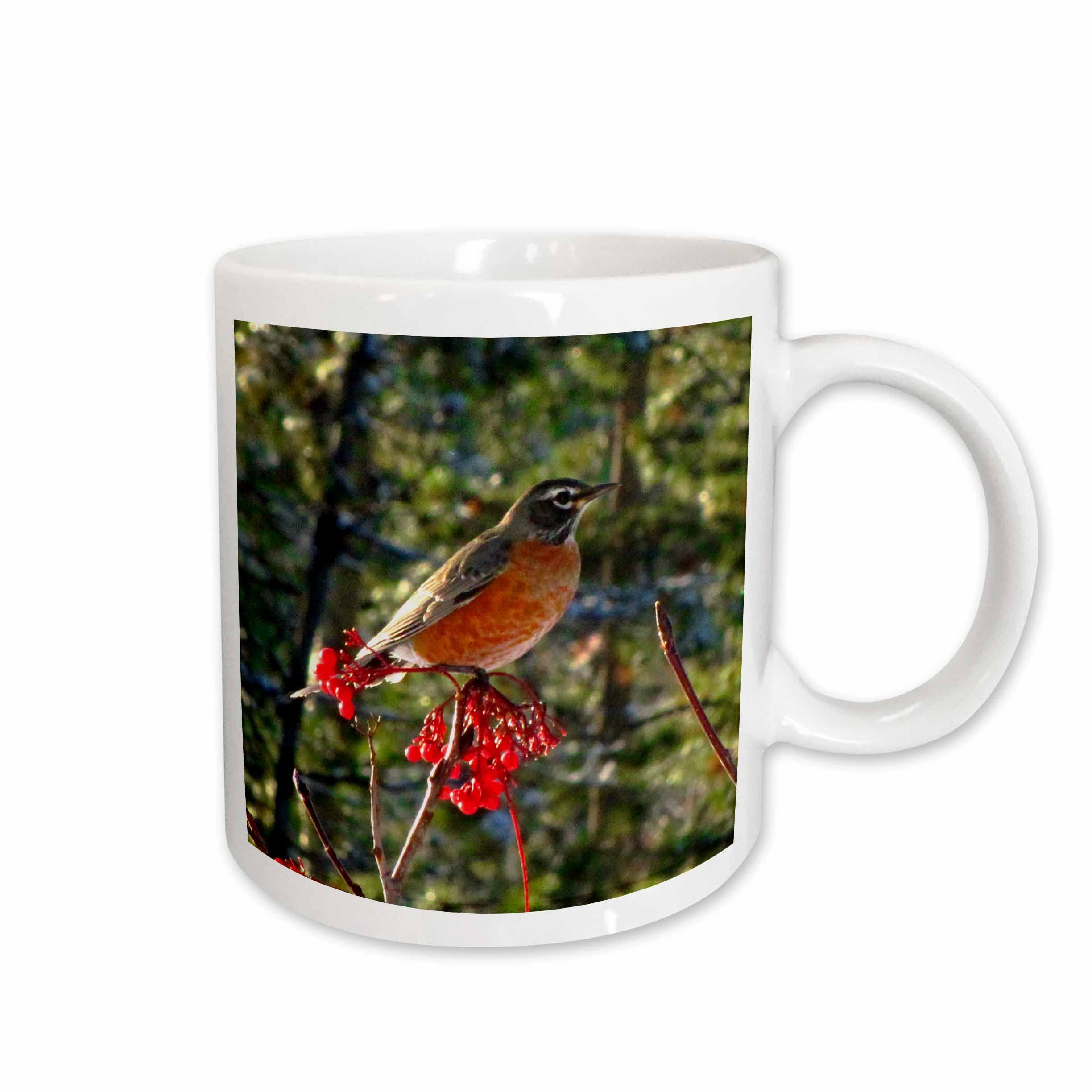 3dRose Robin in the Mountain Ash Tree 1 - Mugs (mug_16888_2)
