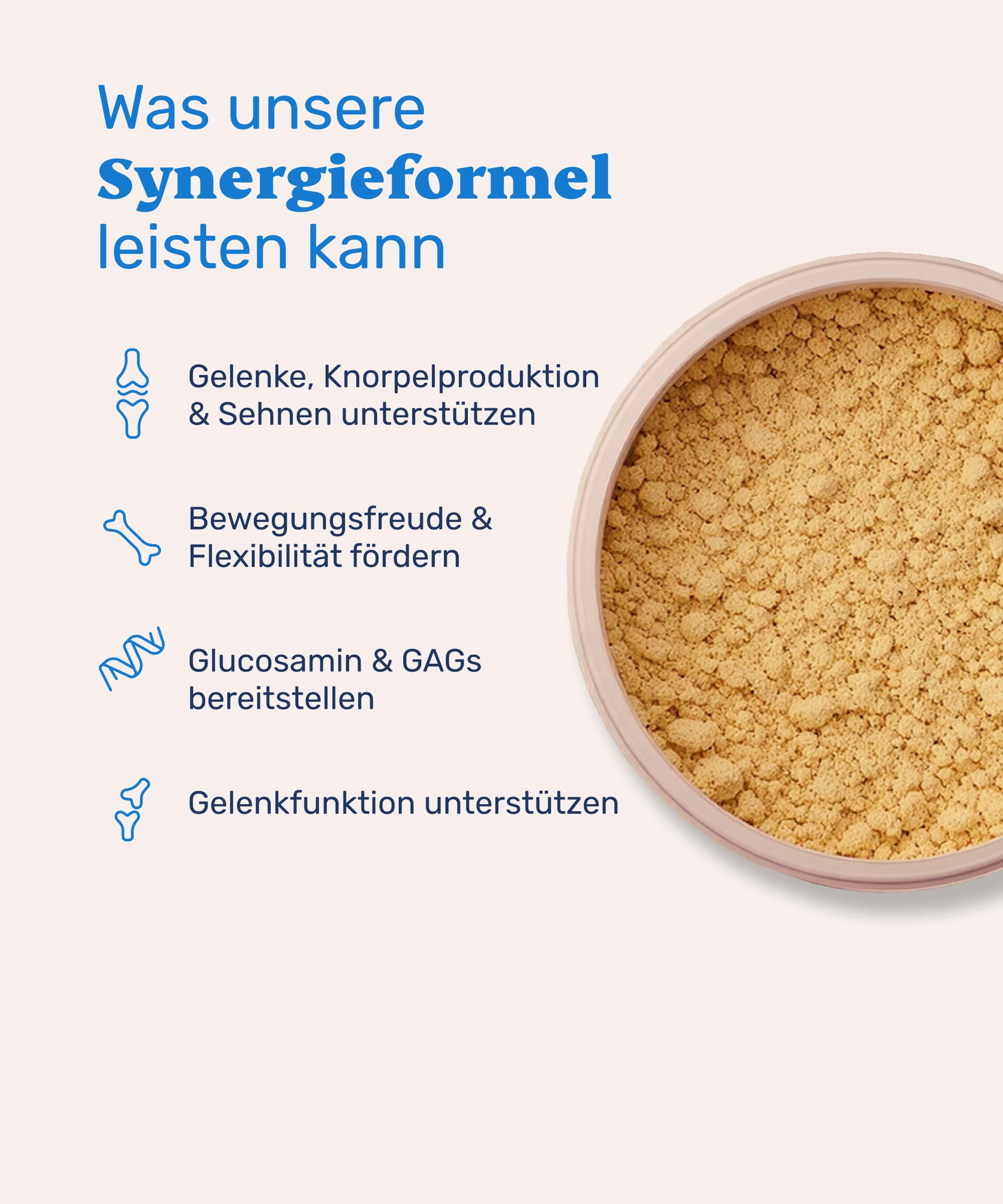 mammaly Grünlippmuschel Pulver für Hunde - 80% Grünlippmuschel & 20% MSM - Hochdosiertes Gelenkpulver, Natürliches Grünmuschel- & Grünlippenpulver für Gelenke & Knochen - 150g, reicht 30-60 Tage