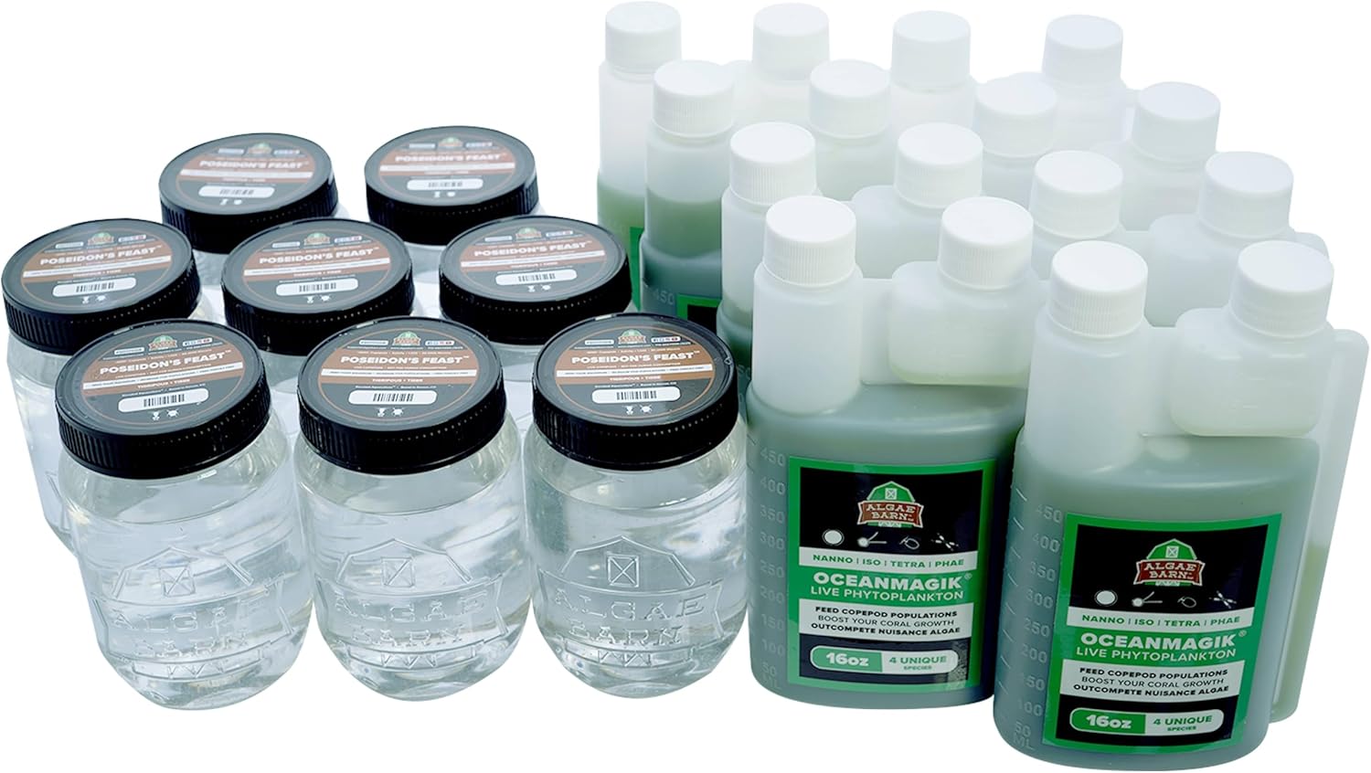 AlgaeBarn Live Copepods & Phytoplankton Combo Pack Tisbe & Tigriopus Pods + Live Phytoplankon (16oz)