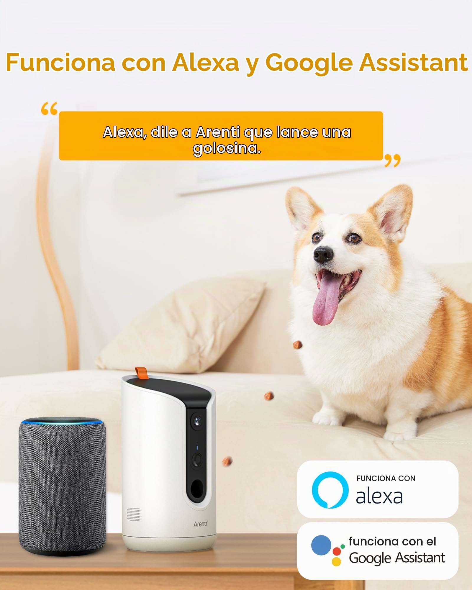 ARENTI Comedero Automático para Mascotas con Cámara WiFi, Cámara de Vigilancia con Comedero, Camara para Perros/Gatos, Alarma Inteligente/Visión Nocturna, Compatible con Alexa