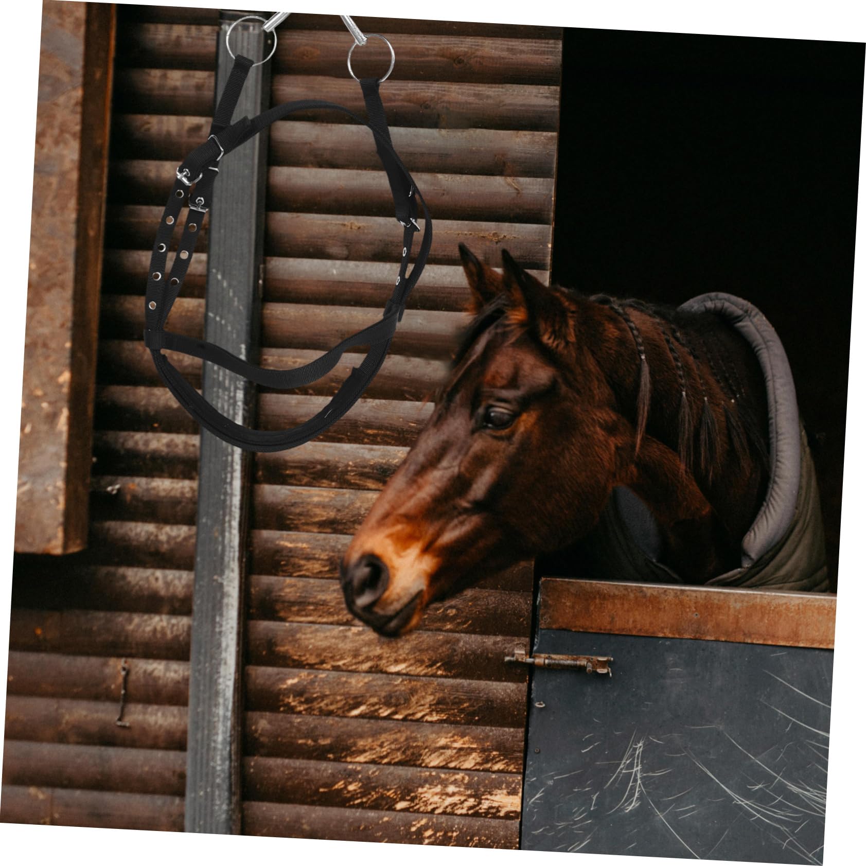 Cabezada De Nylon para Caballos Diseño Cómodo Mordida para Entrenamiento y Montura Talla Altura