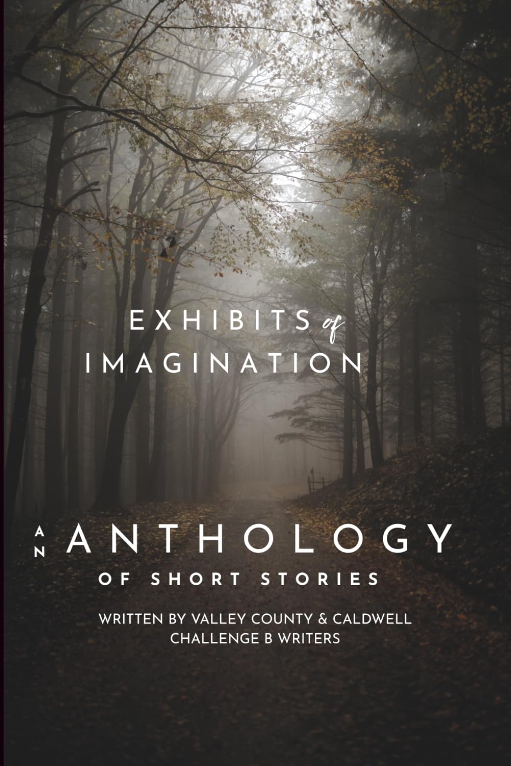 Exhibits of Imagination: Short Stories by Challenge B Writers
