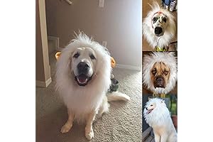 Loki Costume for Dogs: Lions Mane for Halloween