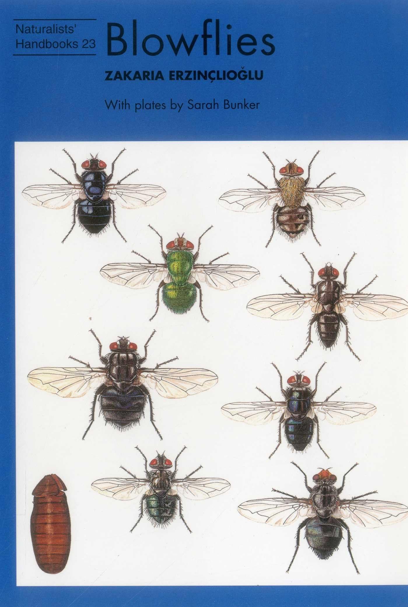 Blowflies by Zakaria Erzinclioglu (Paperback, 1996)