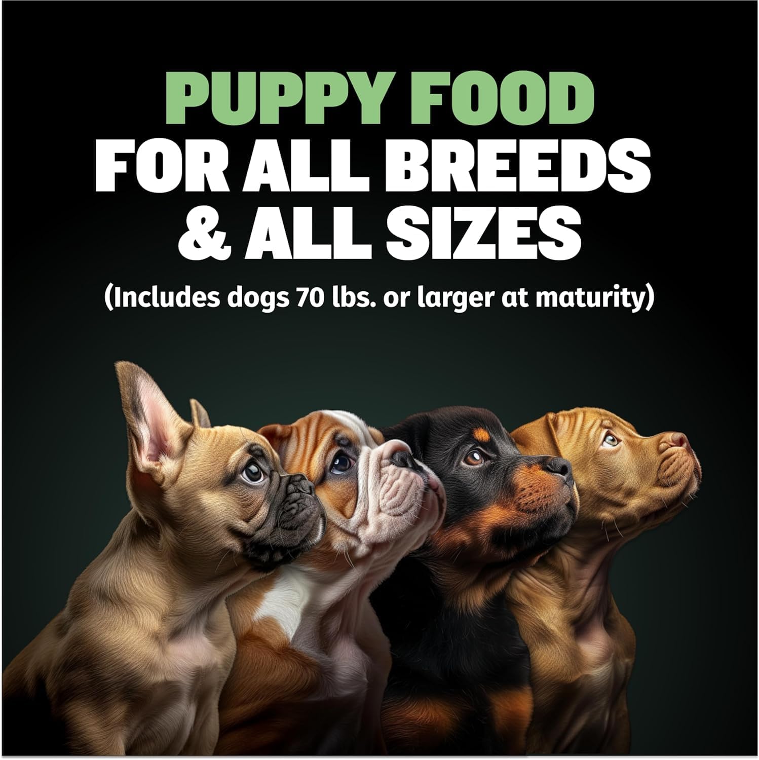 Bully Max Puppy Food 24/14 High Protein & Growth Formula - Dry Dog Food with Lamb and Rice for Small Dogs and Large Breed Puppies - Natural, Slow-Cooked, Sensitive Stomach Pet Food, 15-Pound Bag